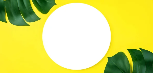 Banner Van Witte Blanco Ronde Cirkel Frame Groene Bladeren Achtergrond — Stockfoto