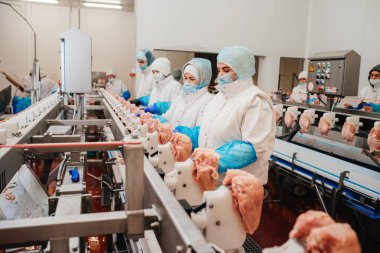 Tavuk fileto üretim hattı. Et üretim fabrikası. Modern kümes hayvanları işleme tesisi. Taşıma bandı. Et fabrikası..