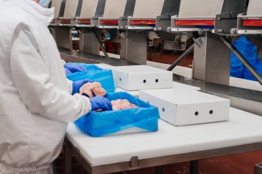 Modern gıda fabrikasında ambalaj ve et kesme ile otomatikleştirilmiş üretim hattı. Et işleme ekipmanları. Gıda ürünleri et fileto üretim hattı plastik ambalaj taşıyıcı üzerinde.