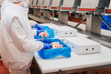 Tavuk fileto üretim hattı. Et üretim fabrikası. Modern kümes hayvanları işleme tesisi. Taşıma bandı. Et fabrikası..