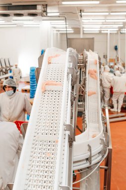 Tavuk fileto üretim hattı. Et üretim fabrikası. Modern kümes hayvanları işleme tesisi. Taşıma bandı. Et fabrikası..