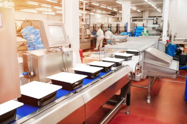 Modern gıda fabrikasında otomatikleştirilmiş üretim hattı. Taşıyıcı kuşak gıdası. Et işleme tesisi. Et işleme ekipmanları. Paketleme ve et kesme ile üretim hattı. Yemek endüstrisi tavuğu..