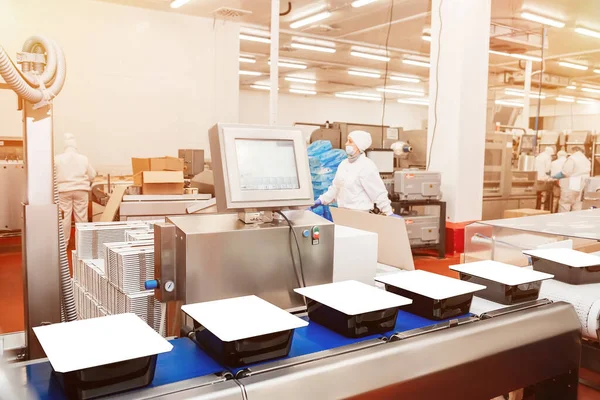 stock image Factory for the production from meat.Conveyor Belt Food.The meat factory.Automated production line in modern food factory.Working factory line.Food industry chicken.Process industry food meat.