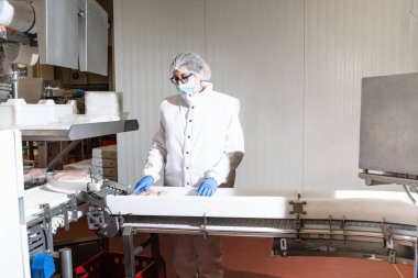 Tavuk fileto üretim hattı. Et üretim fabrikası. Modern kümes hayvanları işleme tesisi. Taşıma bandı. Et fabrikası..