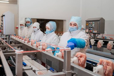 Et işleme tesisi. İnsanlar bir tavuk fabrikasında çalışıyor. Stok fotoğrafı..