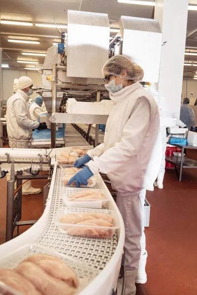 現代の鶏肉加工工場食品産業における食肉加工コンベヤベルト上のボックス内の肉スライスの梱包半完成肉製品の生産のためのライン — ストック写真