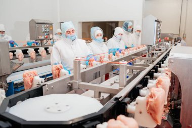 Taşıma bandı yiyeceği. Et fabrikası. Tavuk fileto üretim hattı. Et üretim fabrikası. Modern kümes hayvanları işleme tesisi..