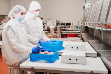 Et işleme tesisi. İnsanlar bir tavuk fabrikasında çalışıyor. Stok fotoğrafı..