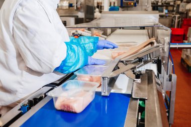 Modern kümes hayvanları işleme tesisi. Gıda endüstrisinde et işleme. Yarı bitmiş et ürünlerinin üretimi için kuyruk..