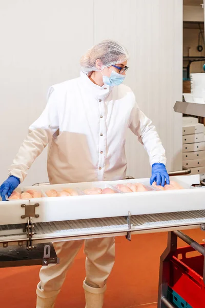 Fabbrica Produzione Alimenti Base Carne Attrezzature Industriali Una Fabbrica Carne — Foto Stock