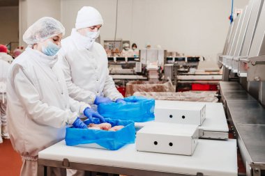 Taşıma bandı yiyeceği. Et fabrikası. Tavuk fileto üretim hattı. Et üretim fabrikası. Modern kümes hayvanları işleme tesisi..