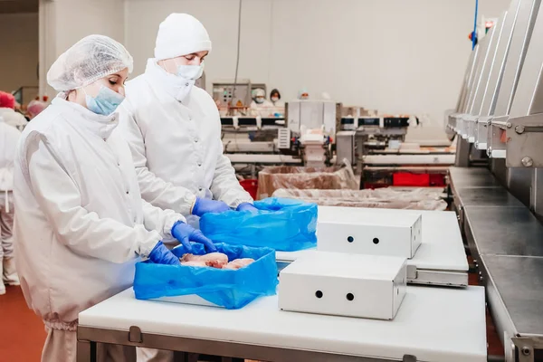 Taşıma bandı yiyeceği. Et fabrikası. Tavuk fileto üretim hattı. Et üretim fabrikası. Modern kümes hayvanları işleme tesisi..