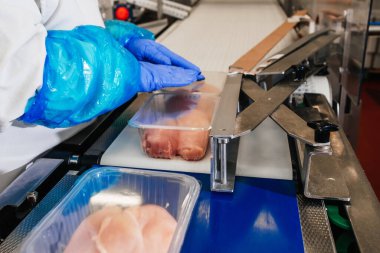 Modern kümes hayvanları işleme tesisi. Gıda endüstrisinde et işleme. Yarı bitmiş et ürünlerinin üretimi için kuyruk..