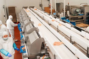 Et fabrikasında et işleme tesisi. Bir et fabrikasında endüstriyel ekipman. Modern kümes hayvanları işleme tesisi. Bir tavuk fabrikasında çalışan insanlar..