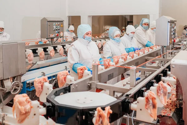 Moderno impianto di lavorazione del pollame. Fabbrica per la produzione di alimenti da carne. Cinghia di trasporto alimentare. Linea di produzione automatizzata nella moderna fabbrica alimentare. — Foto Stock