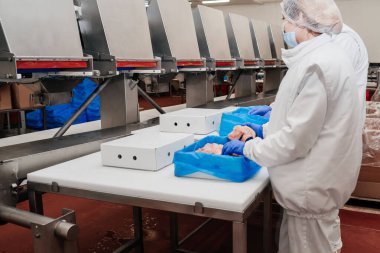 Modern kümes hayvanları işleme tesisi. Gıda endüstrisinde et işleme. Yarı bitmiş et ürünlerinin üretimi için kuyruk..