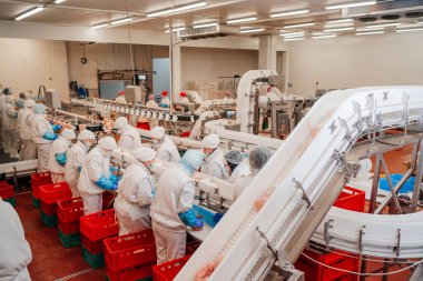 Et fabrikasında et işleme tesisi. Bir et fabrikasında endüstriyel ekipman. Modern kümes hayvanları işleme tesisi. Bir tavuk fabrikasında çalışan insanlar..