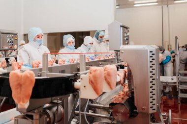 Tavuk fileto üretim hattı. Et üretim fabrikası. Modern kümes hayvanları işleme tesisi. Taşıma bandı. Et fabrikası..