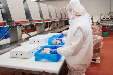 Modern kümes hayvanları işleme tesisi. Et ürünleri üretim fabrikası. Konveyör kuşağı gıdası. Modern gıda fabrikasında üretim hattı..