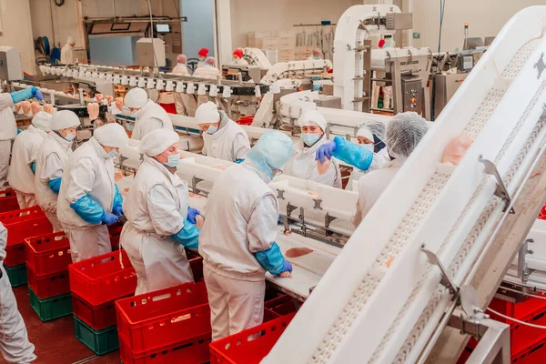 Modern gıda fabrikasında ambalaj ve et kesme ile otomatikleştirilmiş üretim hattı. Et işleme ekipmanları. Gıda ürünleri et fileto üretim hattı plastik ambalaj taşıyıcı üzerinde.