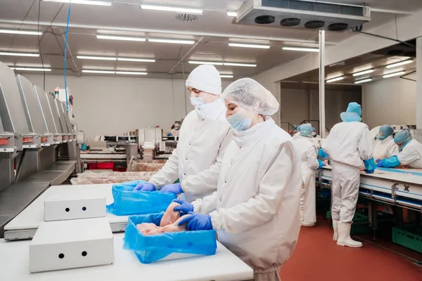 Modern gıda fabrikasında ambalaj ve et kesme ile otomatikleştirilmiş üretim hattı. Et işleme ekipmanları. Gıda ürünleri et fileto üretim hattı plastik ambalaj taşıyıcı üzerinde.