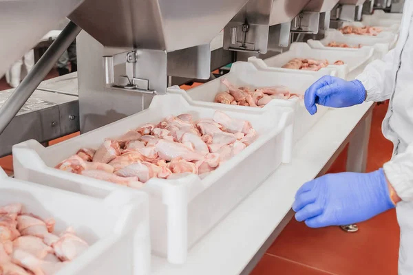 Conveyor Belt Food.The meat factory.Automated production line in modern food factory.Containers on a conveyor line with raw chicken drumstick.Factory for the production of food from meat,poultry. — Stok fotoğraf