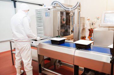 Konveyör kuşağı yiyeceği. Modern gıda fabrikasında üretim hattı. İnsanlar çalışıyor. Tavuk fileto üretim hattı. Üretim süreci, et paketlerinin konveyör hattında paketleme..