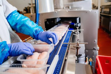 Tavuk fileto üretim hattı. Modern bir fabrika. Etten üretim gıdası. Ambalaj ve et kesimi ile üretim hattı. Konveyör kemer gıdası. Modern gıda fabrikasında üretim hattı..