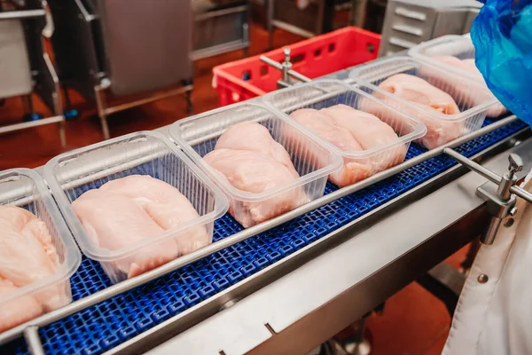 Chicken fillet production line.A modern plant.Factory production food from meat. Production line with packaging and cutting of meat.Conveyor Belt Food.Automated production line in modern food factory. — ストック写真