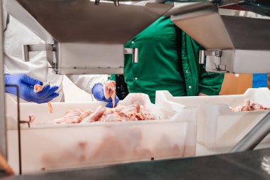 Taşıma bandı yiyeceği. Et fabrikası. Modern gıda fabrikasındaki üretim hattı. Çiğ tavuk budu içeren konteynerler..