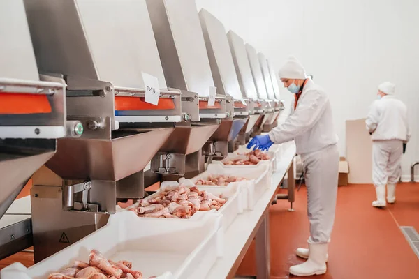 Factory for the production of food from meat,poultry.Conveyor Belt Food.The meat factory.Automated production line in modern food factory.Containers on a conveyor line with raw chicken drumstick. — Foto Stock