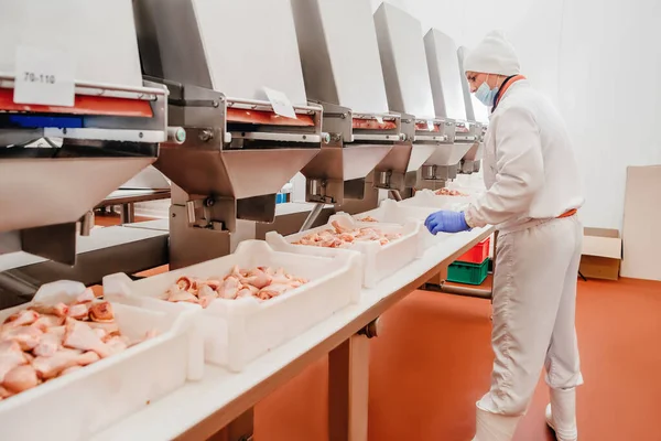 製造プロセス.コンベアベルト食品現代の食品工場で自動生産ライン.生の鶏のドラムスティックとコンベアライン上の容器.肉から食品の生産のための工場,鶏肉. — ストック写真