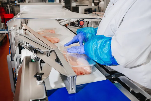 Üretim süreci, kutularda et paketleme. Taşıma bandı Gıda. Modern gıda fabrikasında üretim hattı. İnsanlar çalışıyor. Tavuk fileto üretim hattı..