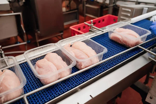 Modern kümes hayvanları işleme tesisi. Modern bir fabrika. Etten üretim gıdası. Paketleme ve et kesme ile üretim hattı. Modern gıda fabrikasında taşıyıcı kemer..