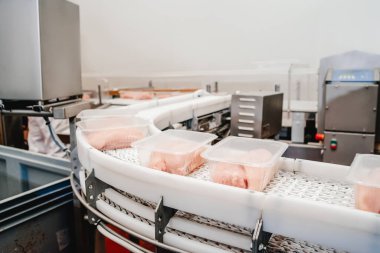 Modern kümes hayvanları işleme tesisi. Modern bir fabrika. Etten üretim gıdası. Paketleme ve et kesme ile üretim hattı. Modern gıda fabrikasında taşıyıcı kemer..