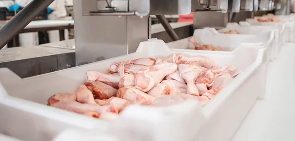 Conveyor Belt Food.The meat factory.Automated production line in modern food factory.Containers on a conveyor line with raw chicken drumstick.Factory for the production of food from meat,poultry. — ストック写真