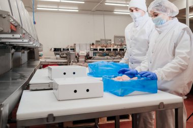 Et işleme ekipmanları. Modern gıda fabrikasında ambalaj ve et kesimi ile üretilmiş üretim hattı..