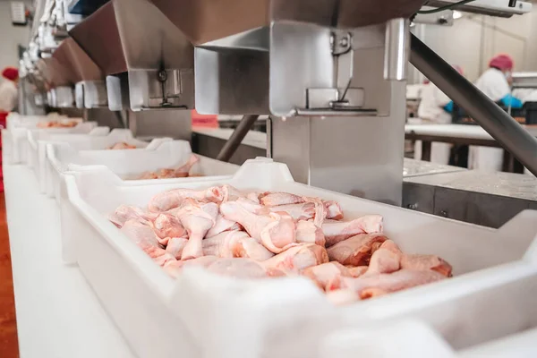 Meat Factory Automated Production Line Modern Food Factory Containers Conveyor — ストック写真