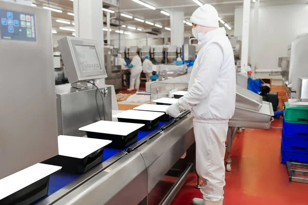 Automated production line in modern food factory.People working.Chicken fillet production line.Production process, packaging on the conveyor line of meat in boxes.Conveyor Belt Food.