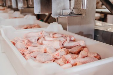 Çiğ tavuk budu olan konteynerler. Et, kümes hayvanlarından yiyecek üretimi için bir fabrika. Taşıma bandı. Modern gıda fabrikasındaki et fabrikası..