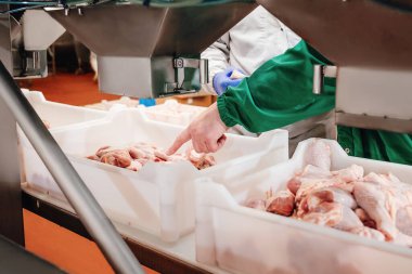 Çiğ tavuk budu olan konteynerler. Et, kümes hayvanlarından yiyecek üretimi için bir fabrika. Taşıma bandı. Modern gıda fabrikasındaki et fabrikası..