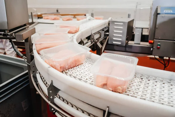 Conveyor Belt Food Automated Production Line Modern Food Factory Modern — Stok fotoğraf