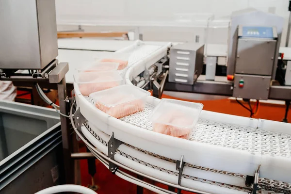Conveyor Belt Food Automated Production Line Modern Food Factory Modern — Stok fotoğraf