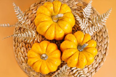 Cadılar Bayramı Balkabağı. Sınır Tasarımı. Farklı balkabağı çeşitleri. Turuncu arka plan. Sonbahar kartpostalı. Minimalist stil. Sonbahar sezonu, sonbahar hasatı, Şükran Günün kutlu olsun..