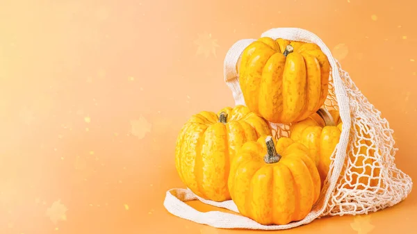 Happy Thanksgiving.Vegetable fall food concept.Autumn Halloween Pumpkins.Different varieties of Pumpkins in mesh bag of fabric on orange background.Autumn concept.Copy space.Composition of pumpkins.