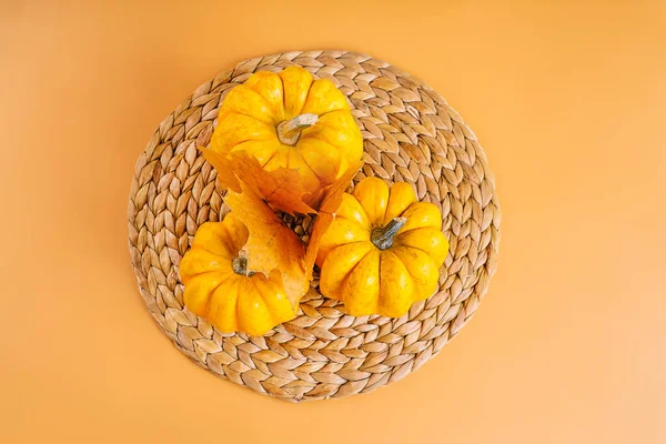 Halloween Pumpkins.Border Design.Different pumpkin varieties.Orange background.Space for text and copy space. Autumn postcard. Minimalist style.Autumn season, fall harvest, Happy Thanksgiving.