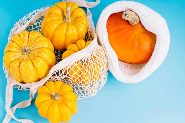 Mavi bir arka planda kumaş paketinde çeşitli balkabakları. Cadılar Bayramı balkabakları. Farklı türde balkabakları. Mutlu Şükran Günleri..