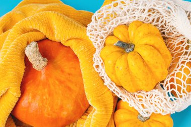 Mavi arkaplanda çeşitli balkabakları. Cadılar Bayramı Balkabakları. Farklı türde balkabakları. Mutlu Şükran Günleri. Sebze düşüşü..