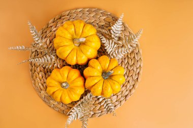 Cadılar Bayramı Balkabağı. Sınır Tasarımı. Farklı balkabağı çeşitleri. Turuncu arka plan. Sonbahar kartpostalı. Minimalist stil. Sonbahar sezonu, sonbahar hasatı, Şükran Günün kutlu olsun..