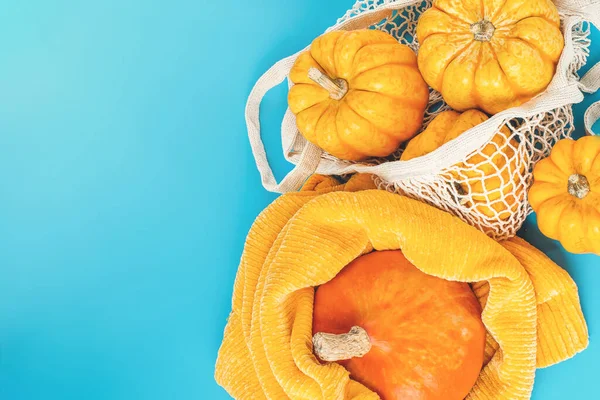 Happy Thanksgiving.Vegetable fall food concept.Copy space.Various of pumpkins in a mesh bag of fabric on a blue background.Halloween Pumpkins.Composition of different varieties pumpkins.